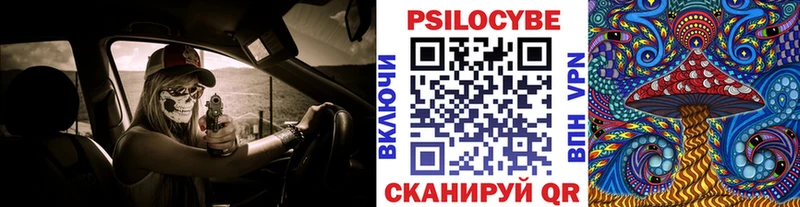 Псилоцибиновые грибы Psilocybe Нарьян-Мар